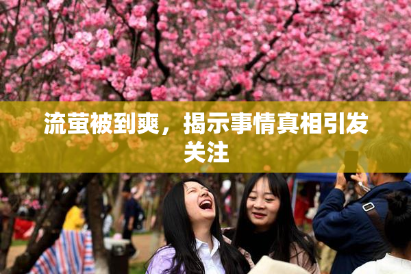流萤被到爽，揭示事情真相引发关注