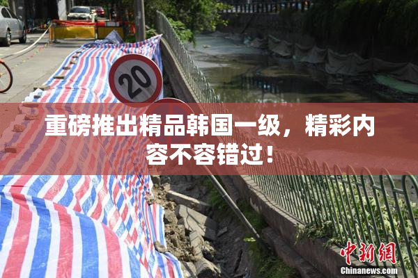 重磅推出精品韩国一级，精彩内容不容错过！