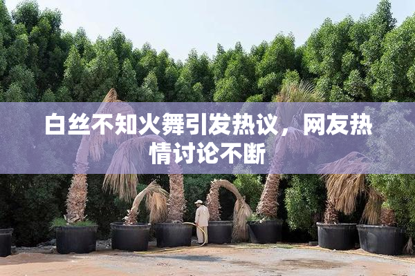 白丝不知火舞引发热议，网友热情讨论不断