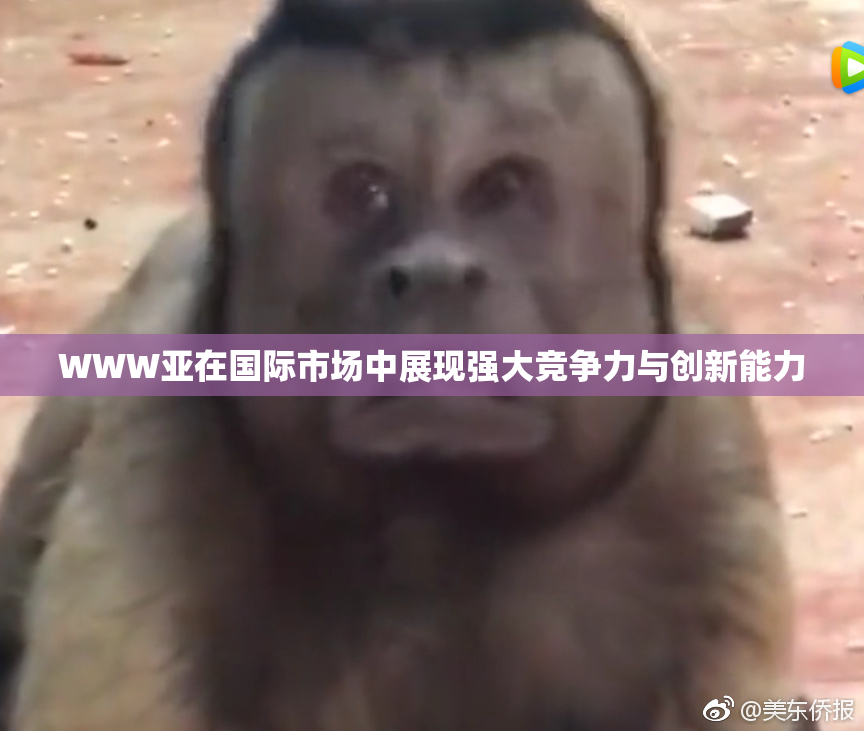 WWW亚在国际市场中展现强大竞争力与创新能力