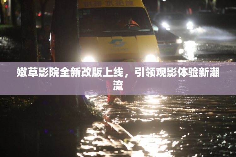 嫩草影院全新改版上线，引领观影体验新潮流