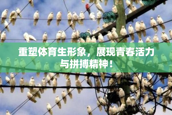 重塑体育生形象，展现青春活力与拼搏精神！