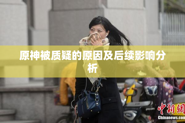 原神被质疑的原因及后续影响分析