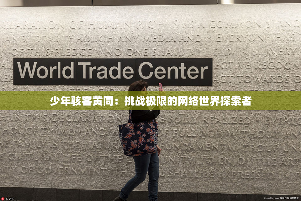 少年骇客黄同：挑战极限的网络世界探索者