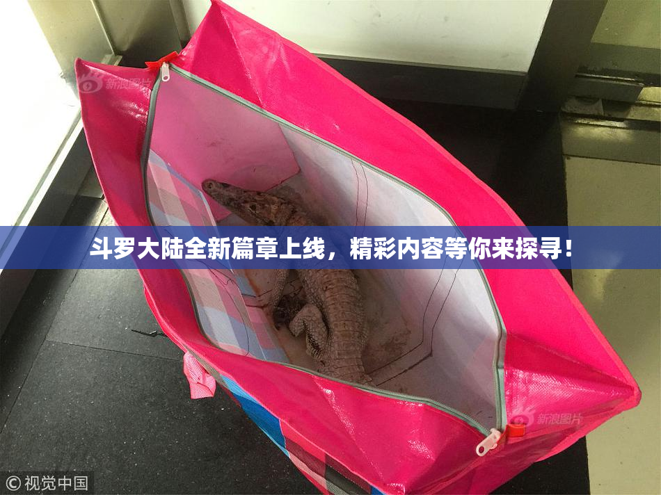 斗罗大陆全新篇章上线，精彩内容等你来探寻！