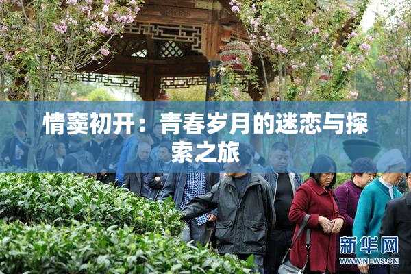 情窦初开：青春岁月的迷恋与探索之旅