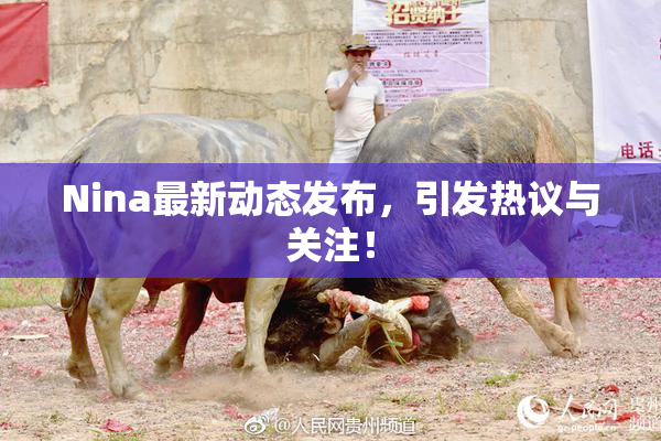 Nina最新动态发布，引发热议与关注！