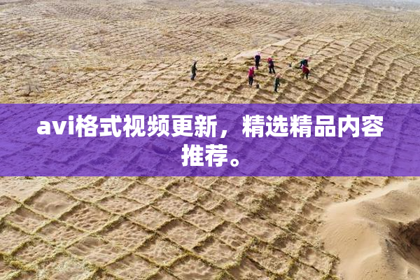avi格式视频更新，精选精品内容推荐。