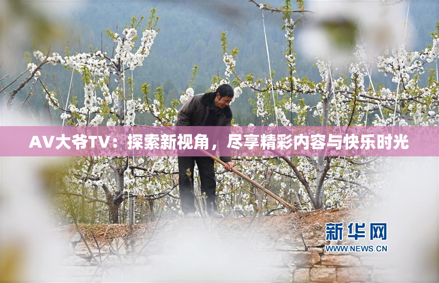 AV大爷TV：探索新视角，尽享精彩内容与快乐时光