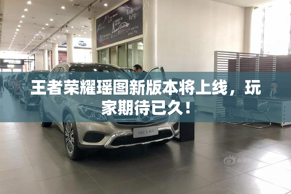王者荣耀瑶图新版本将上线，玩家期待已久！