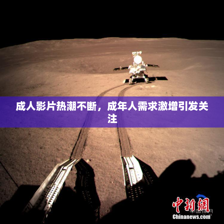 成人影片热潮不断，成年人需求激增引发关注