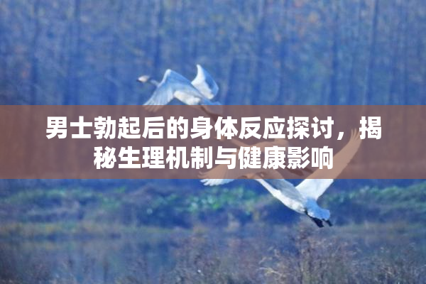 男士勃起后的身体反应探讨，揭秘生理机制与健康影响
