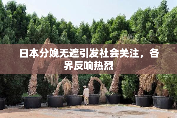 日本分娩无遮引发社会关注，各界反响热烈