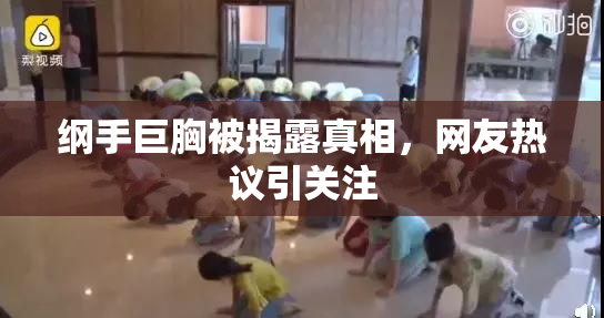 纲手巨胸被揭露真相，网友热议引关注