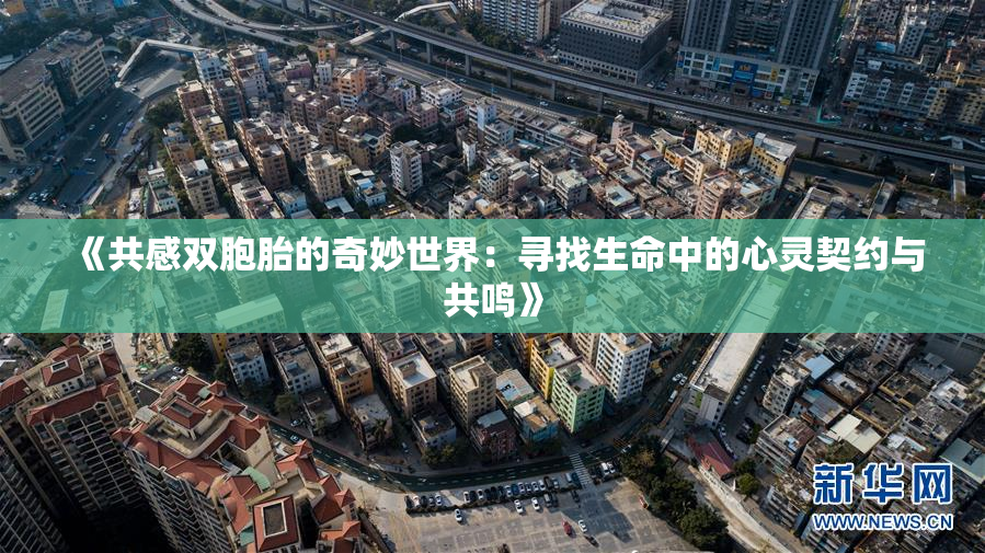 《共感双胞胎的奇妙世界：寻找生命中的心灵契约与共鸣》
