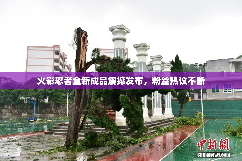 火影忍者全新成品震撼发布，粉丝热议不断