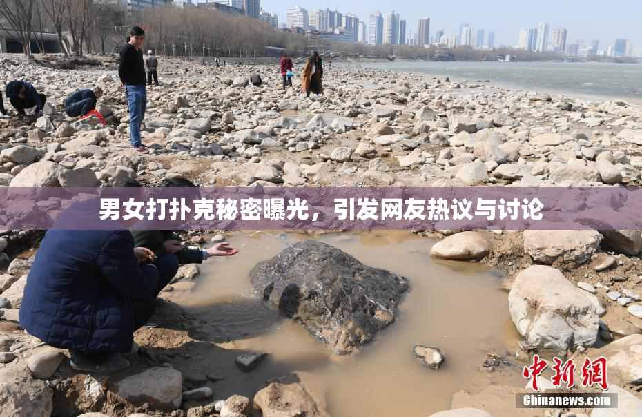 男女打扑克秘密曝光，引发网友热议与讨论