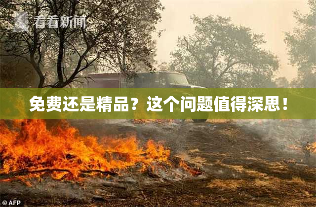 免费还是精品？这个问题值得深思！