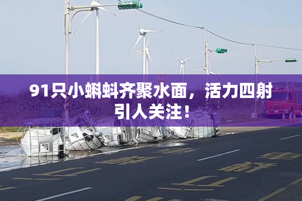 91只小蝌蚪齐聚水面，活力四射引人关注！
