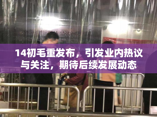 14初毛重发布，引发业内热议与关注，期待后续发展动态