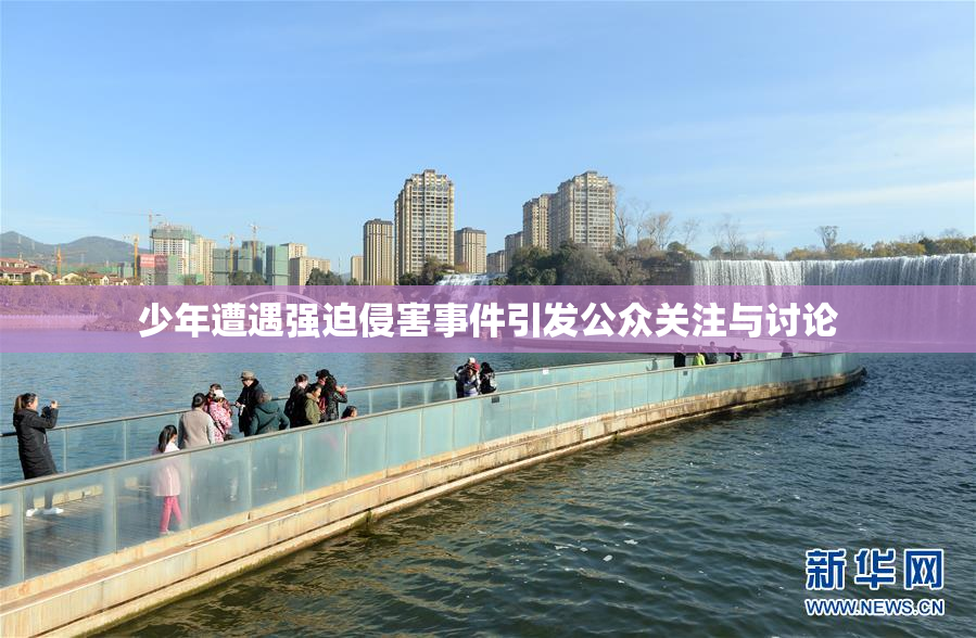 少年遭遇强迫侵害事件引发公众关注与讨论
