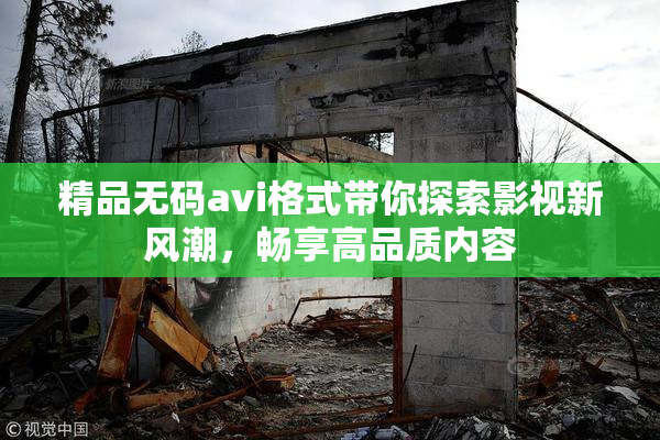 精品无码avi格式带你探索影视新风潮，畅享高品质内容