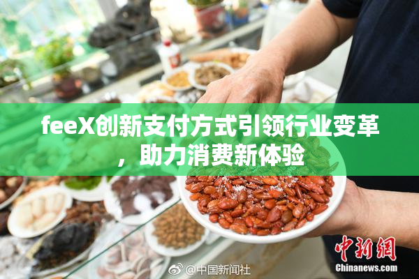 feeX创新支付方式引领行业变革，助力消费新体验