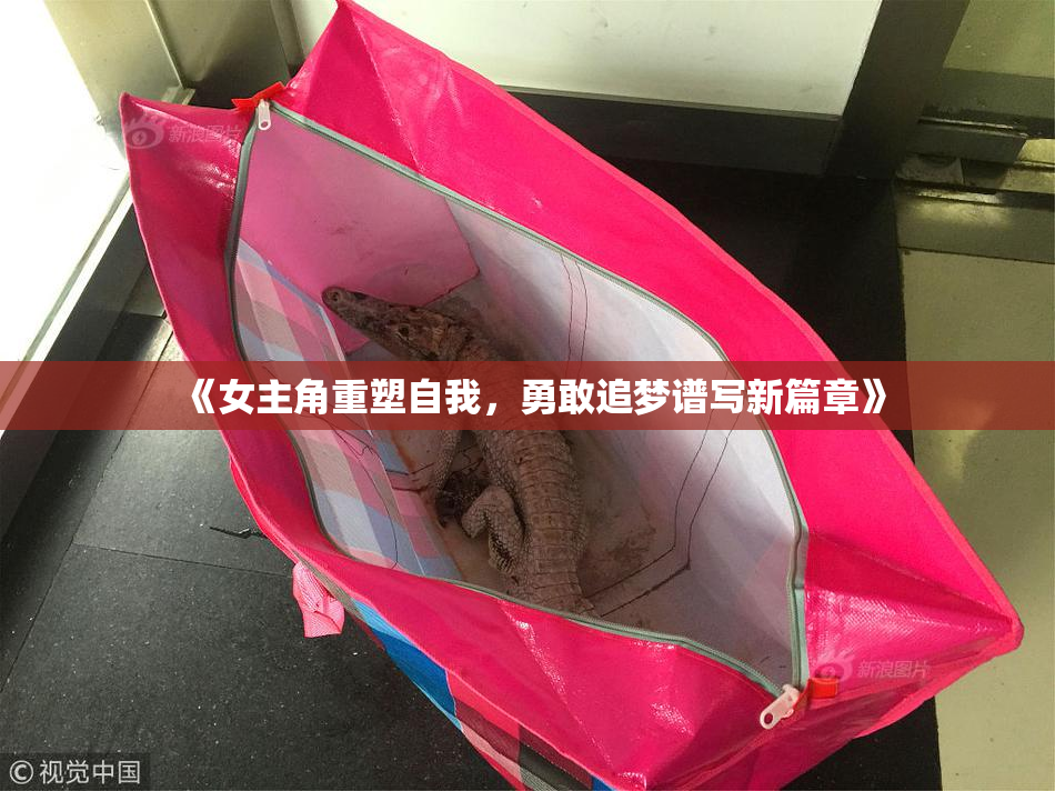 《女主角重塑自我，勇敢追梦谱写新篇章》