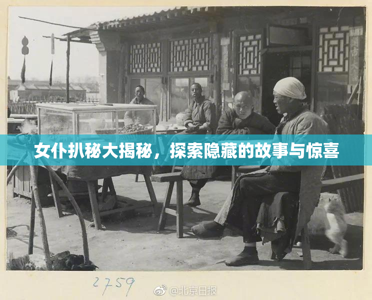 女仆扒秘大揭秘，探索隐藏的故事与惊喜