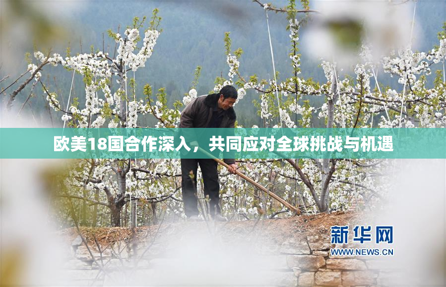 欧美18国合作深入，共同应对全球挑战与机遇