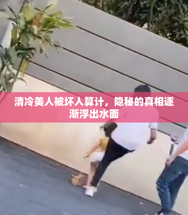 清冷美人被坏人算计，隐秘的真相逐渐浮出水面