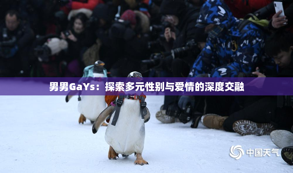 男男GaYs：探索多元性别与爱情的深度交融