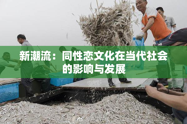 新潮流：同性恋文化在当代社会的影响与发展