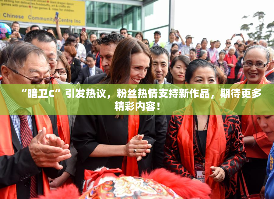 “暗卫C”引发热议，粉丝热情支持新作品，期待更多精彩内容！