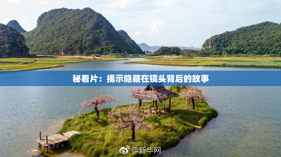 秘看片：揭示隐藏在镜头背后的故事