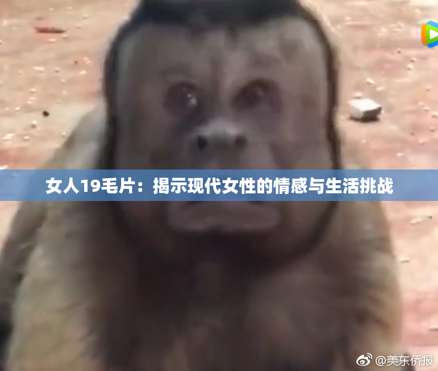 女人19毛片：揭示现代女性的情感与生活挑战