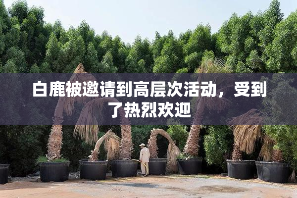 白鹿被邀请到高层次活动，受到了热烈欢迎
