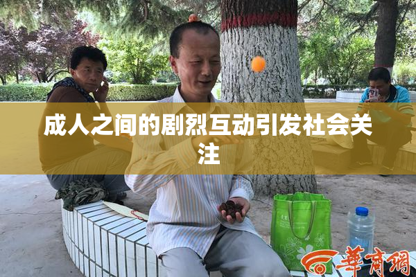 成人之间的剧烈互动引发社会关注