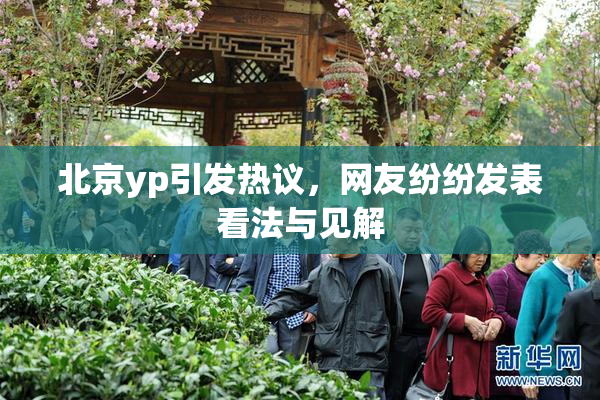 北京yp引发热议，网友纷纷发表看法与见解