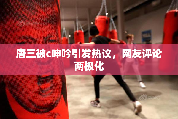 唐三被c呻吟引发热议，网友评论两极化