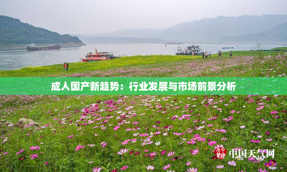 成人国产新趋势：行业发展与市场前景分析