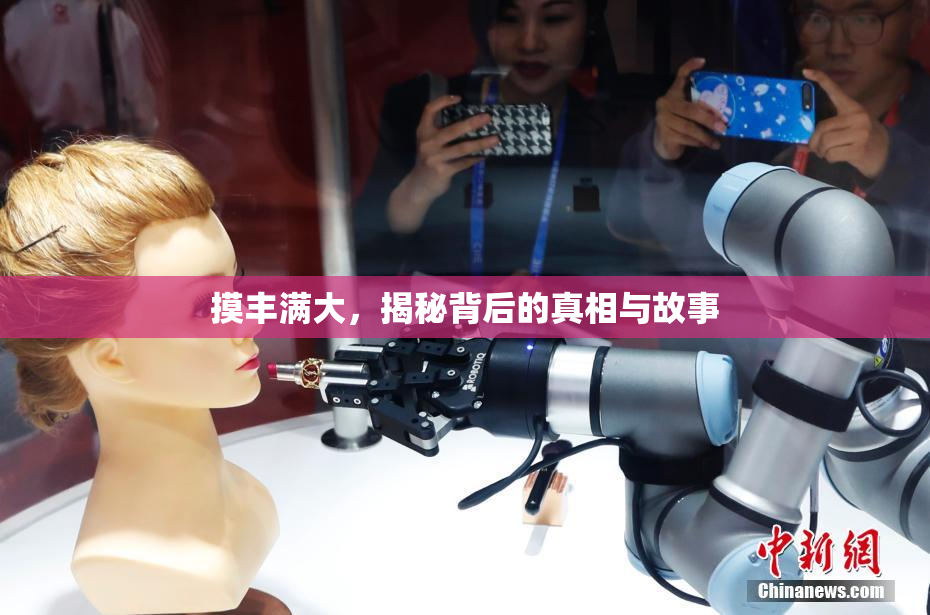 摸丰满大，揭秘背后的真相与故事