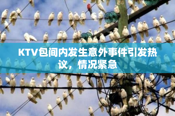 KTV包间内发生意外事件引发热议，情况紧急