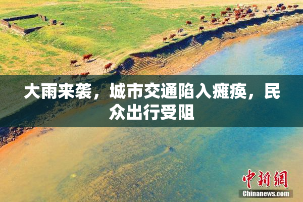 大雨来袭，城市交通陷入瘫痪，民众出行受阻