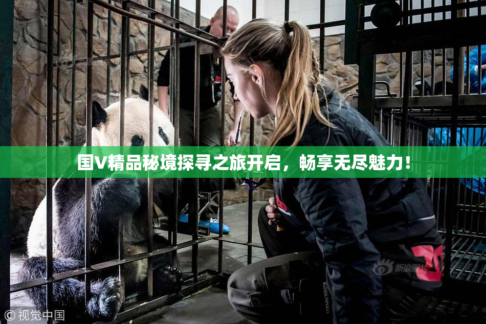 国V精品秘境探寻之旅开启，畅享无尽魅力！