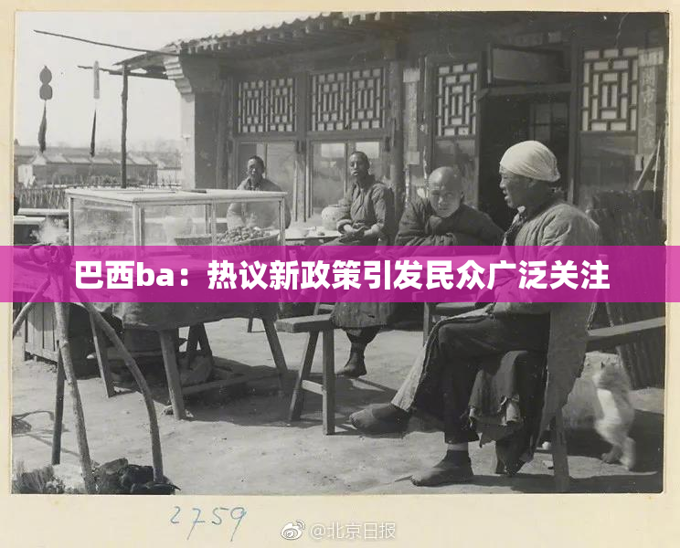 巴西ba：热议新政策引发民众广泛关注