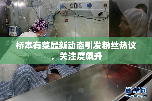 桥本有菜最新动态引发粉丝热议，关注度飙升