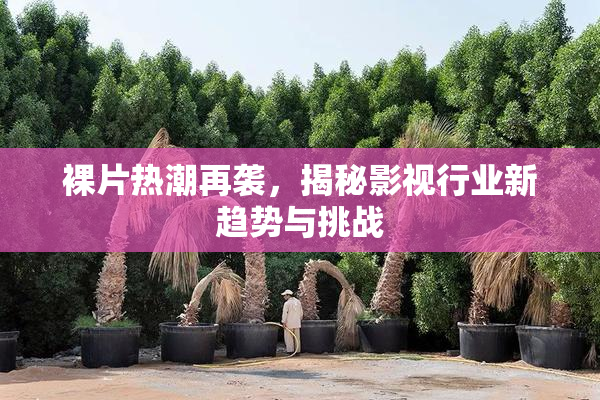 裸片热潮再袭，揭秘影视行业新趋势与挑战