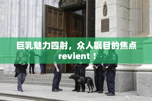 巨乳魅力四射，众人瞩目的焦点 revient ！