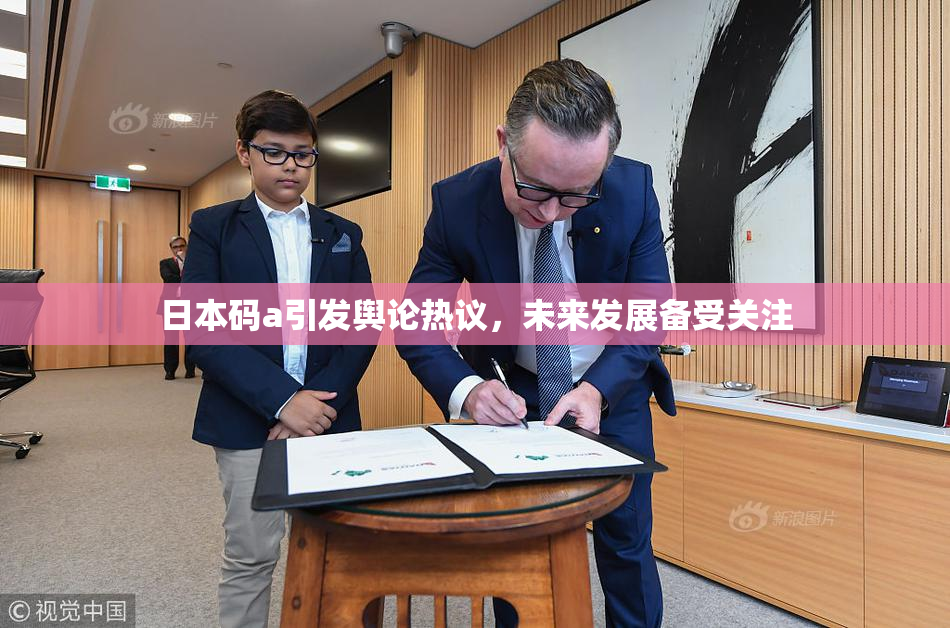 日本码a引发舆论热议，未来发展备受关注